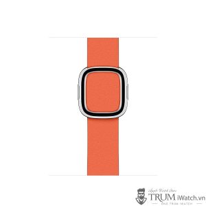 Apple Watch Modern Buckle cam 300x300 - Đánh giá Apple Watch Series 4 - Thiết kế khác biệt làm nên đẳng cấp