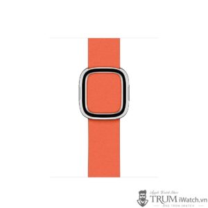 Apple Watch Modern Buckle cam 600x600 - Apple Watch Modern Buckle - Dây da hiện đại cho Apple Watch