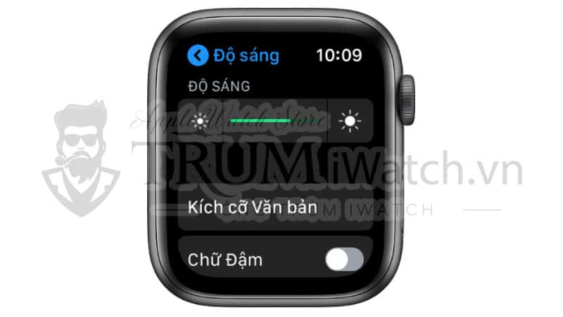 dieu chinh do sang va van ban - Trợ năng và cài đặt liên quan trên đồng hồ Apple Watch