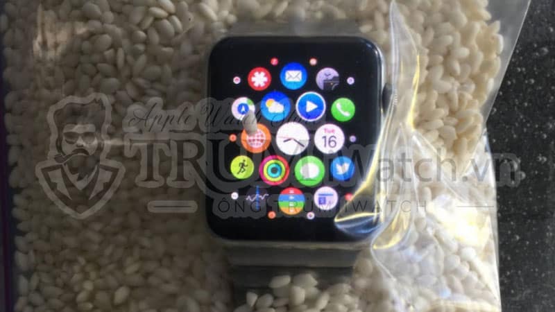 dung gao khi apple watch bi vao nuoc - Cách bảo vệ khi Apple Watch bị vào nước tránh hư hỏng