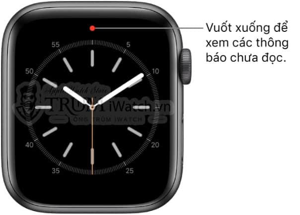 xem cac thong bao chua phan hoi - Hướng dẫn cách xem và phản hồi thông báo trên Apple Watch